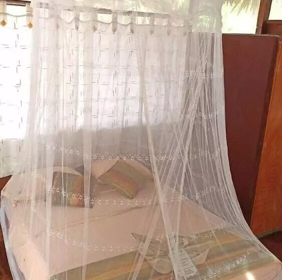 ホテル Avatar Amazon Lodge & Canopy Park