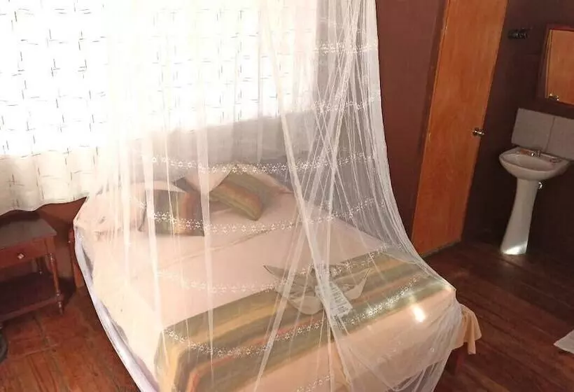 ホテル Avatar Amazon Lodge & Canopy Park