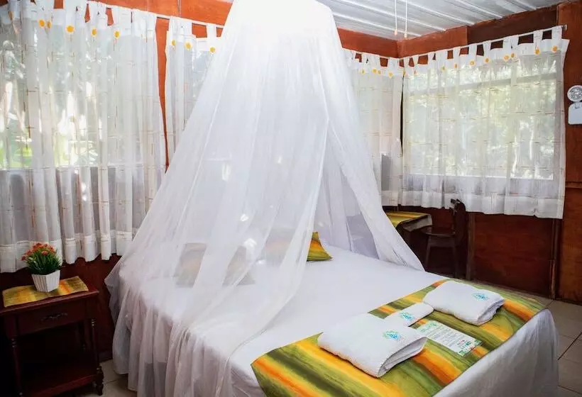 ホテル Avatar Amazon Lodge & Canopy Park