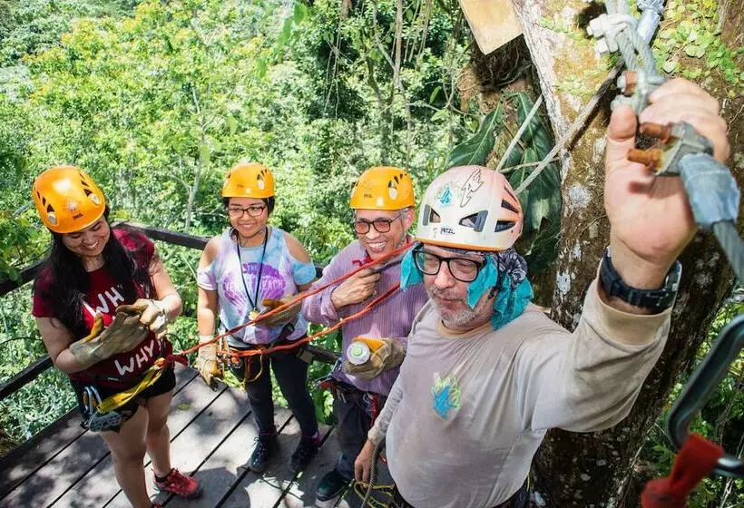 ホテル Avatar Amazon Lodge & Canopy Park