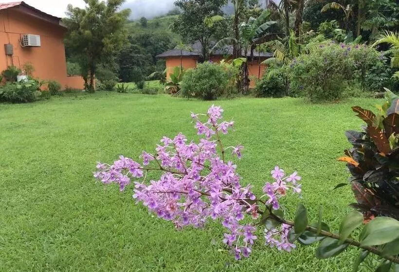 ホテル Cabinas Los Guayabos