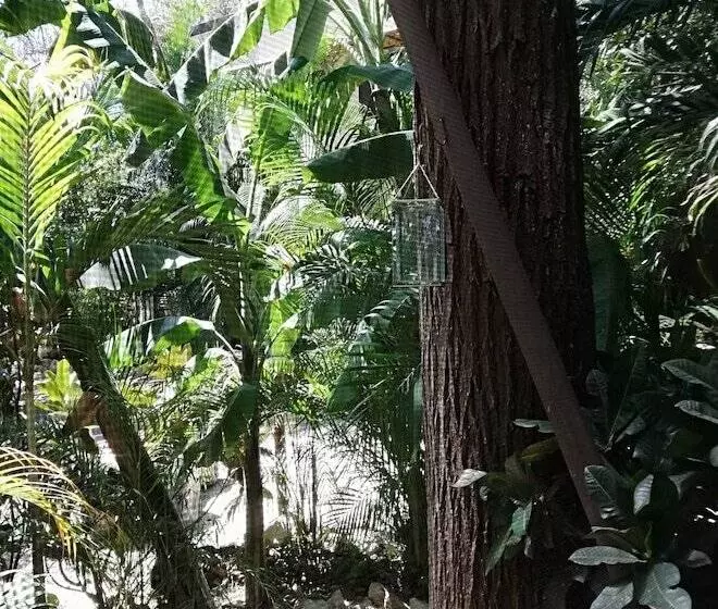 Hotelli Green Sanctuary