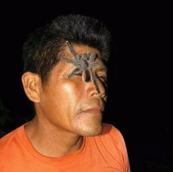 ホテル Jacamar Lodge Expeditions