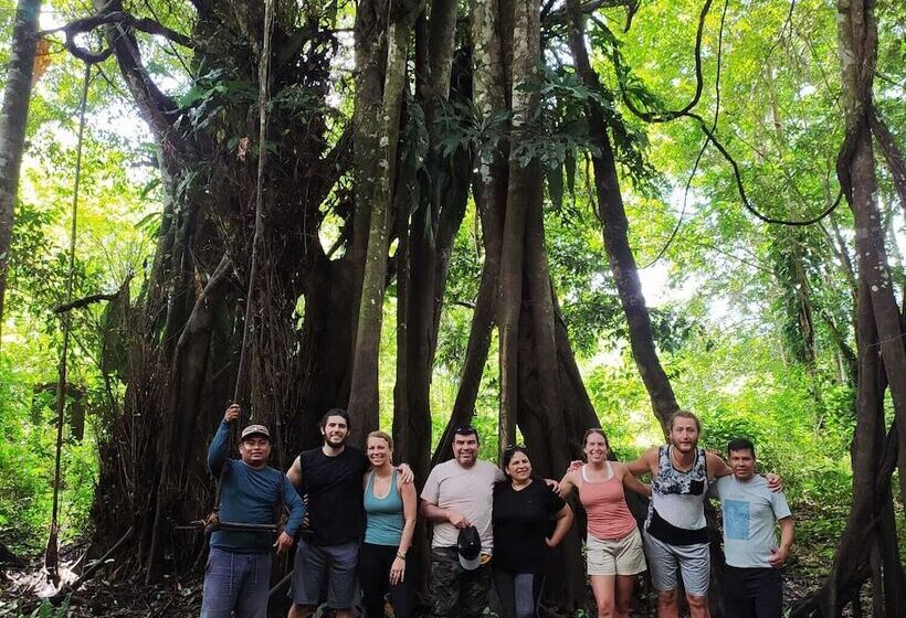 ホテル Jacamar Lodge Expeditions