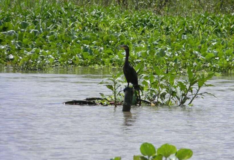 ホテル Jacamar Lodge Expeditions