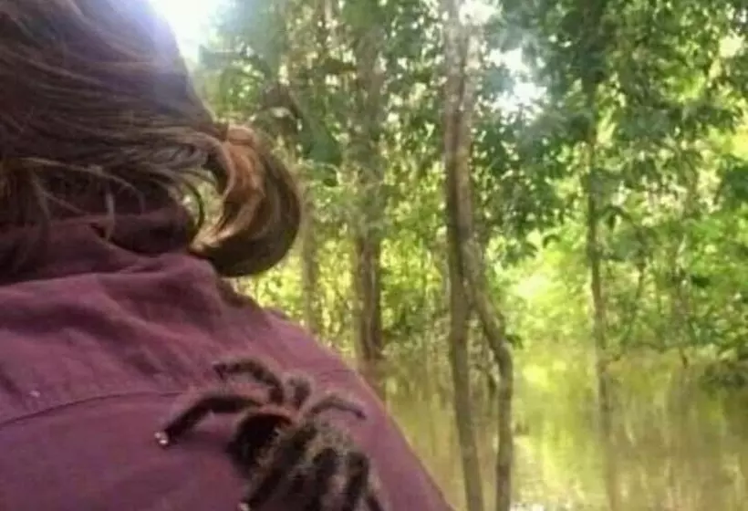 ホテル Jacamar Lodge Expeditions