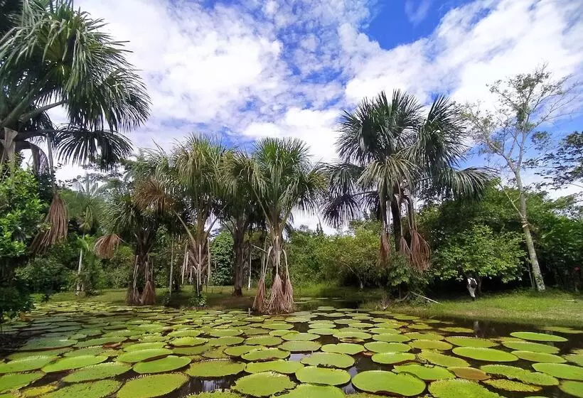 ホテル Jacamar Lodge Expeditions