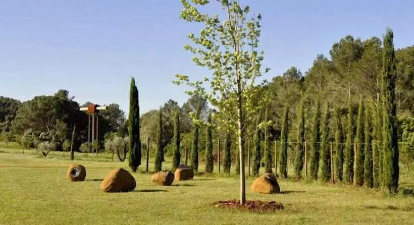 Hotelli L Olivar   Adults Only