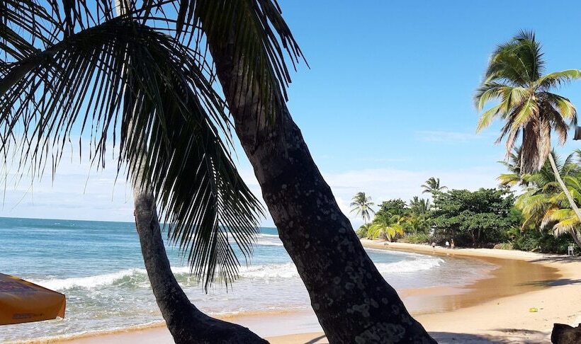 酒店 Pousada Do Holandês Bahia