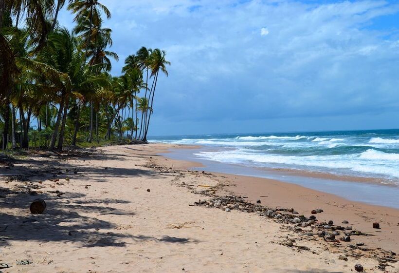 酒店 Pousada Do Holandês Bahia