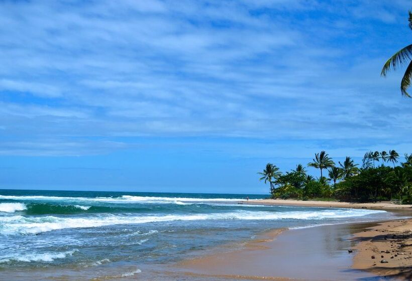 酒店 Pousada Do Holandês Bahia