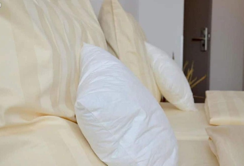 酒店 Waldschlößchen