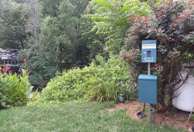 Motelli The Carter Lodge On The River