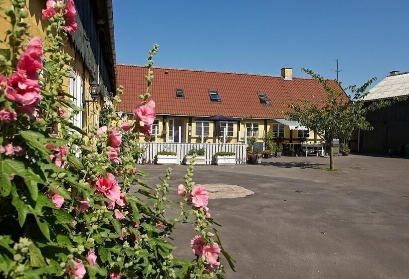 Myregaard B&b & Apartments