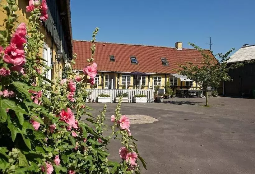 Myregaard B&b & Apartments