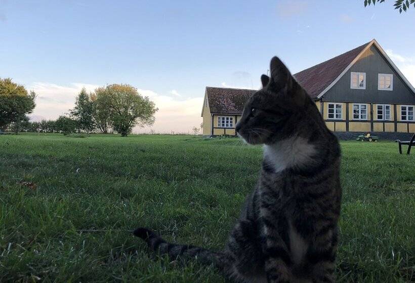 Myregaard B&b & Apartments