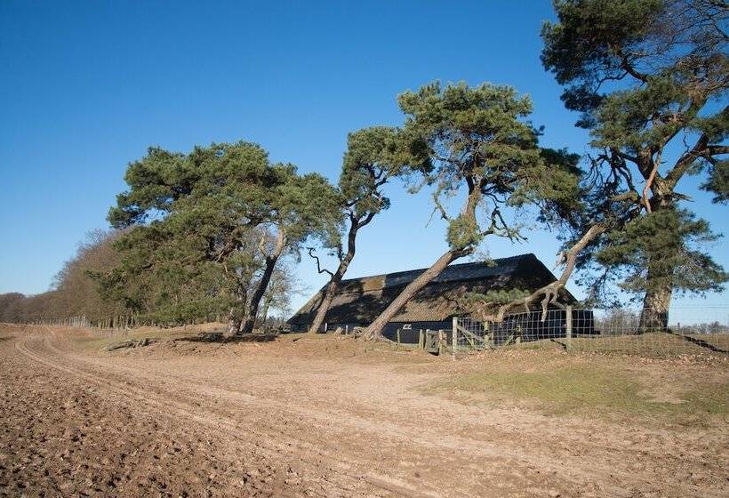 Resort Topparken – Recreatiepark ’t Gelloo