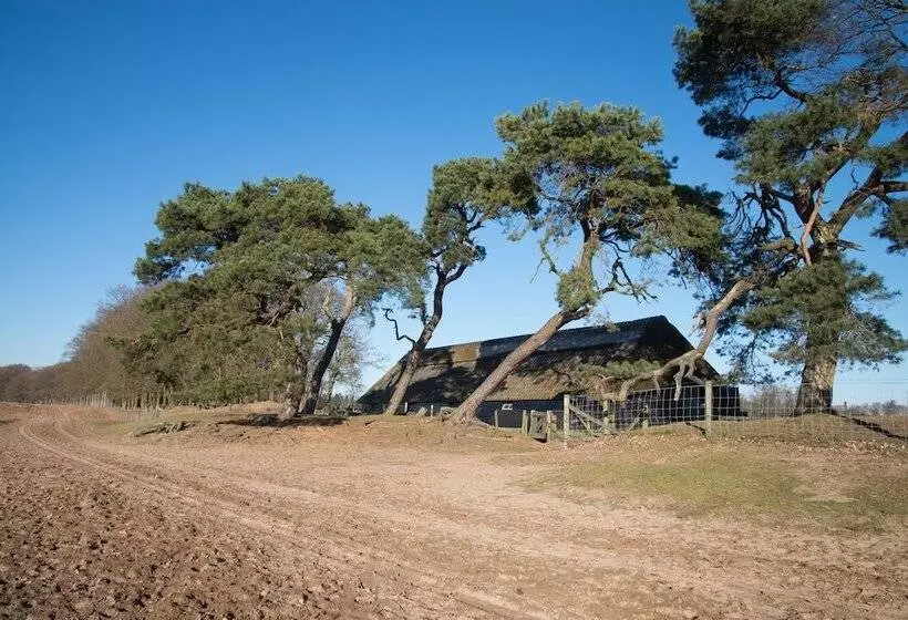 リゾートホテル Topparken – Recreatiepark ’t Gelloo