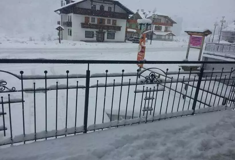 Stella Alpina B&b