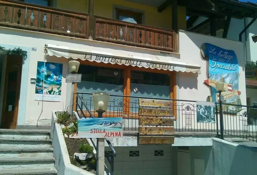 Stella Alpina B&b