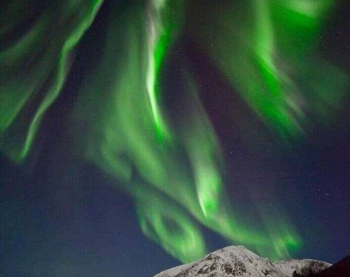 Yggdrasil Farmhotel Retreat, Spa & Yoga