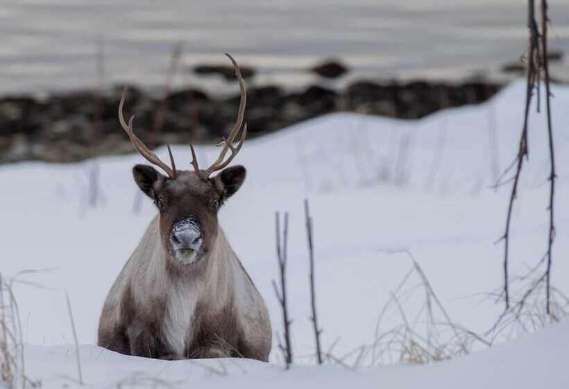 Yggdrasil Farmhotel Retreat, Spa & Yoga