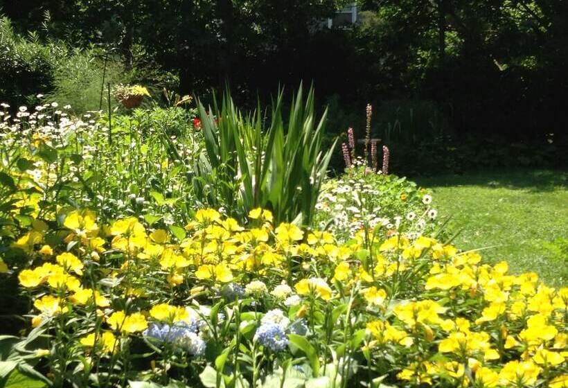 مبيت وإفطار Nauset House Inn