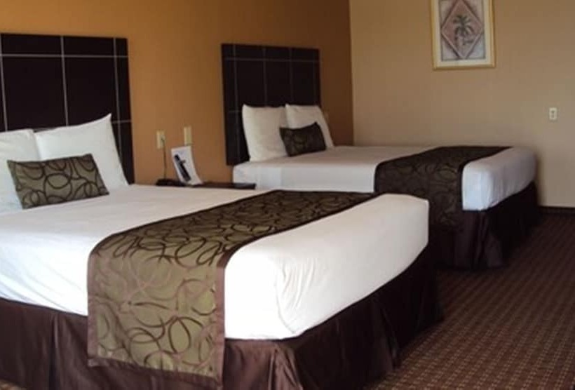 فندق Executive Inn Crystal City