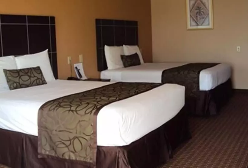 Hotelli Executive Inn Crystal City