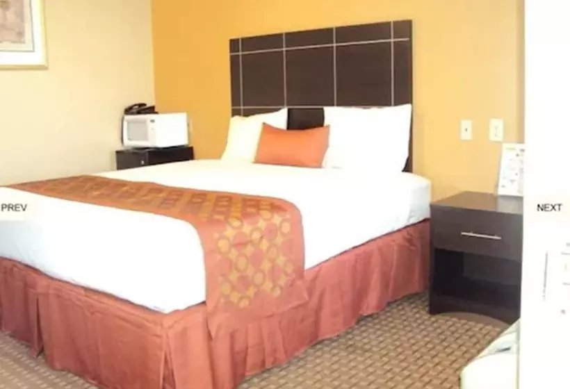 Hotelli Executive Inn Crystal City
