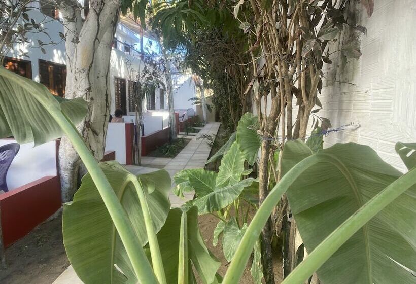 فندق Mym Jericoacoara