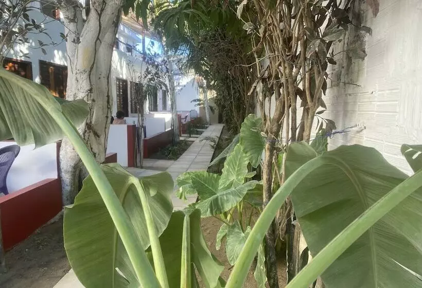 ホテル Mym Jericoacoara