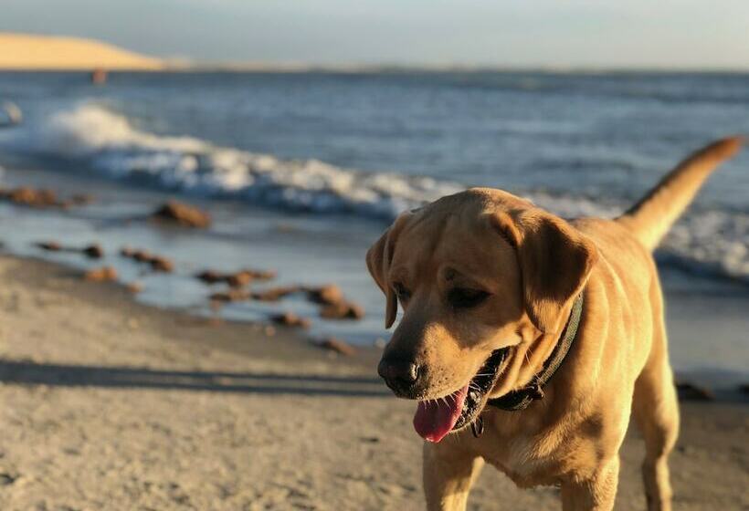 فندق Mym Jericoacoara