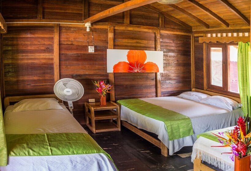 Hotel Playa De Oro Lodge