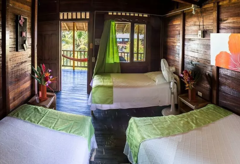 ホテル Playa De Oro Lodge