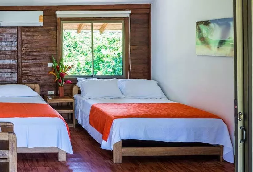 ホテル Playa De Oro Lodge