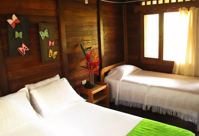 ホテル Playa De Oro Lodge