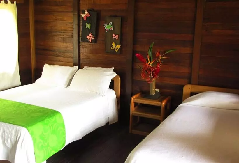 ホテル Playa De Oro Lodge