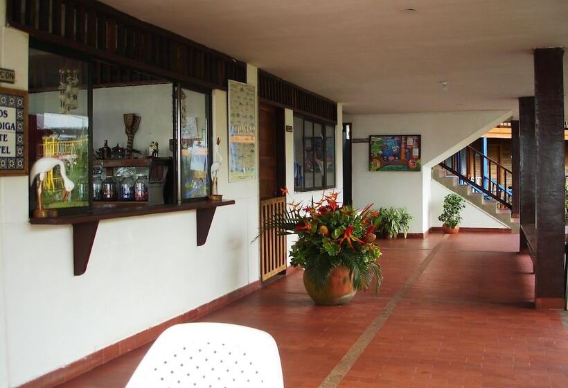 Hotel Playa De Oro Lodge