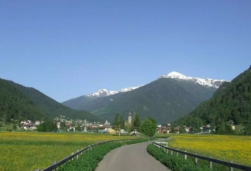 Residenssi Appartamenti Pellizzano