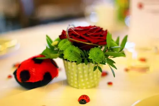 酒店 Gasthaus Zur Krone