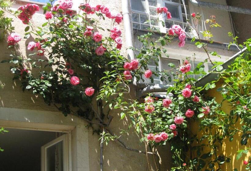 ホテル Möve Garni