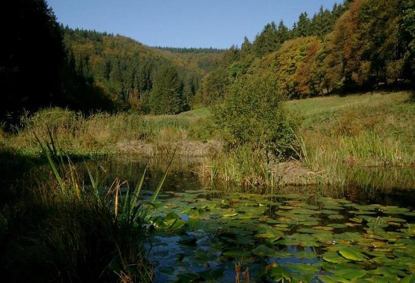 酒店 -pension Haus Erna