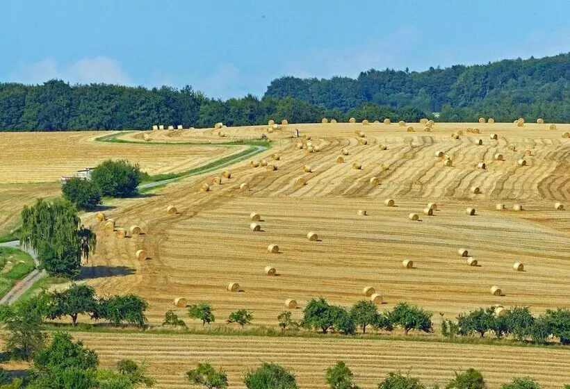 Отель Restaurant Grüner Baum