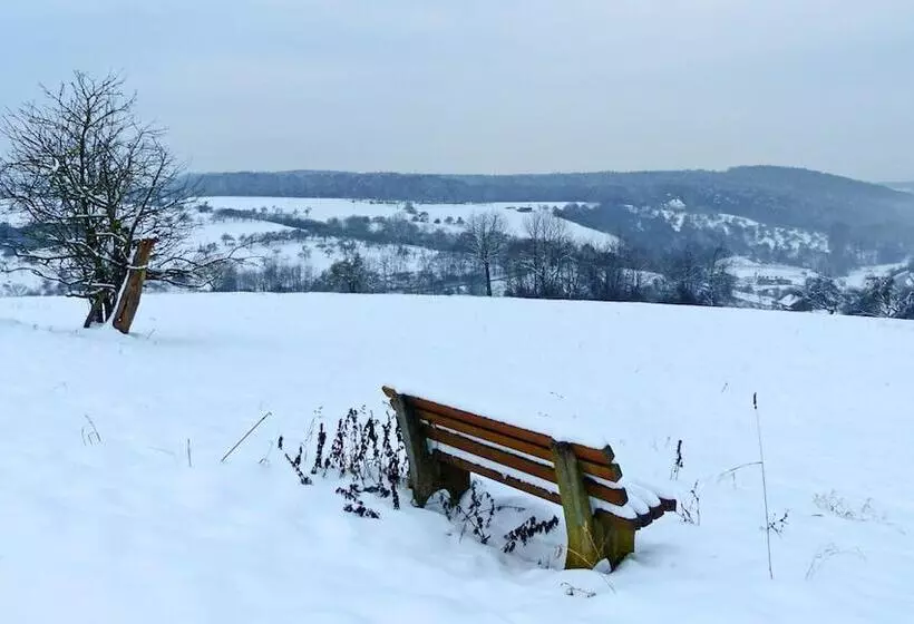 Отель Restaurant Grüner Baum