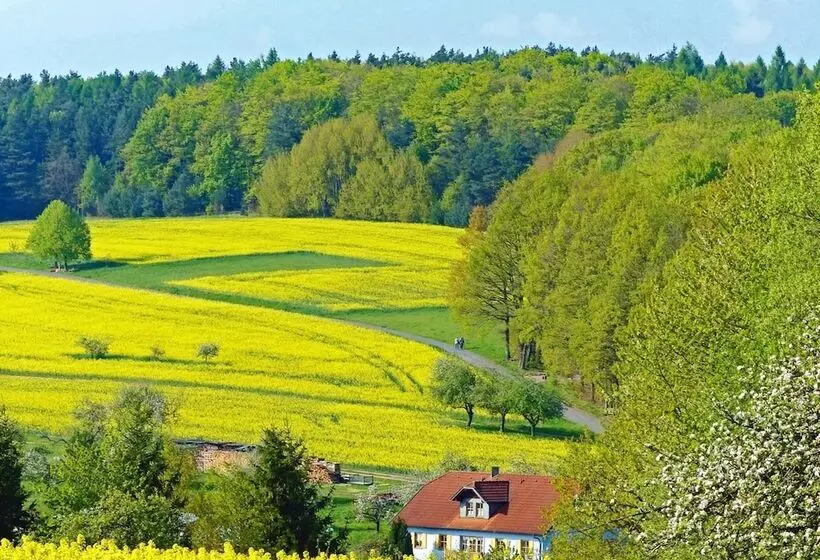 Отель Restaurant Grüner Baum
