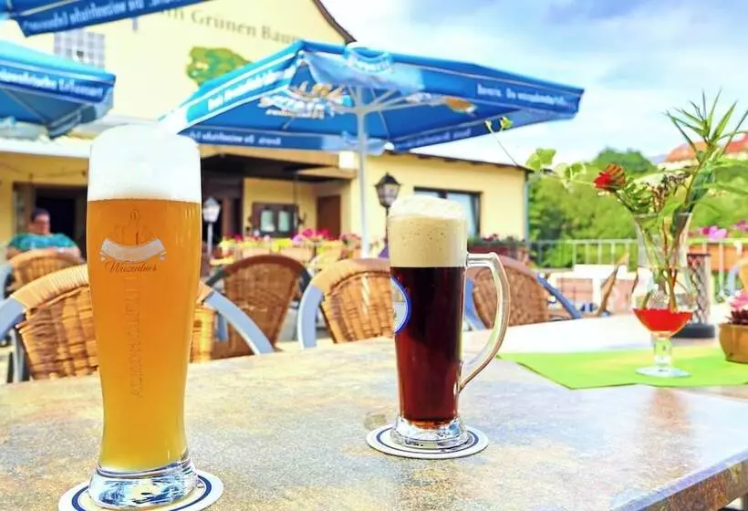 Отель Restaurant Grüner Baum