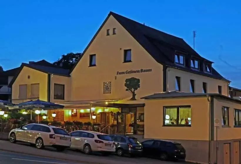 Отель Restaurant Grüner Baum