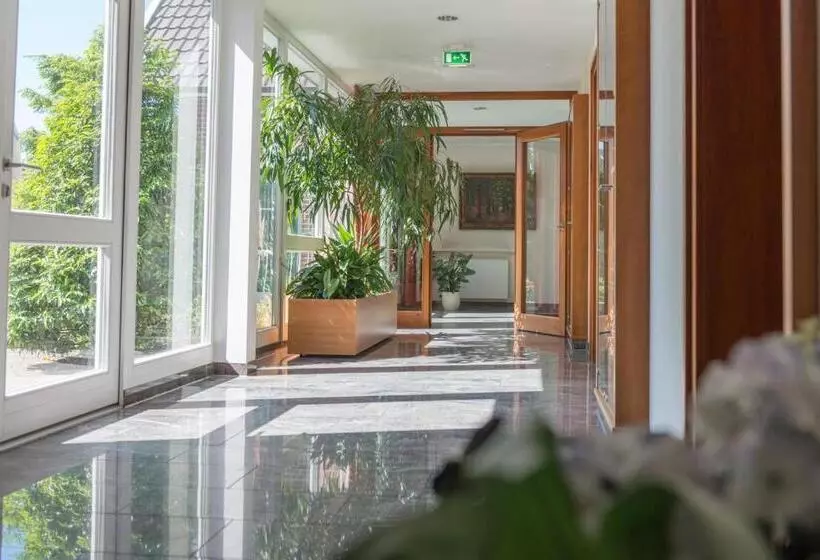 Отель Rheinischer Hof