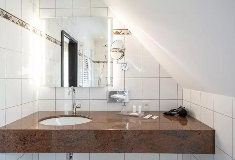 Отель Rheinischer Hof